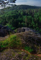 Fototapeta premium Grass on the rock