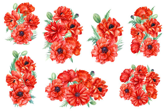 Set of compositions, flowers, bouquet of flowers, red poppies on a white background, watercolor illustration