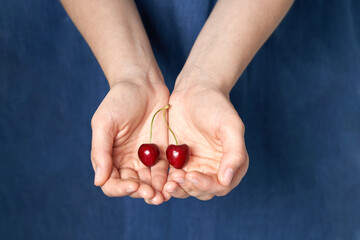 Woman In blue jeans dress holding two dark red sweet cherries in her hands with manicure 