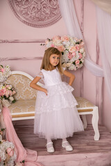 Little girl princess in beautiful holiday dress