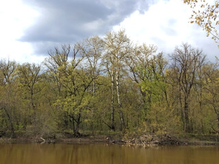 Spring on the river. Beautiful cumulus clouds, leaves blossoming on the trees, river is on the foreground.