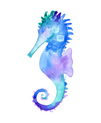 Hand Painting Abstract Watercolor Pastel Colors Seahorse Sea Creatures Design Materials Set Pattern Isolated Background © Didem