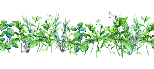 Green grass, fresh leaves, summer herbs. Floral spring border. Watercolor frame
