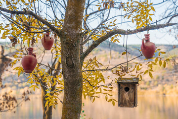 Clay jugs and wooden bird house hanging on a tree branch on blurred background 