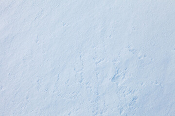 winter abstract background, snow texture