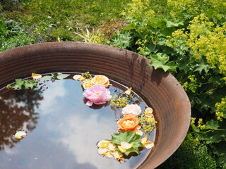 北海道の風景 えこりん村 ローズガーデン