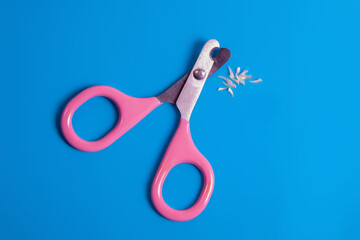 cat claws scissors on a blue background