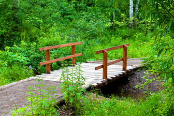 Fototapeta na wymiar Wooden bridge in the forest across the river, eco trail. National Park 