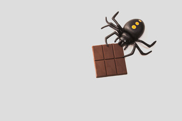 A spider eats chocolate on a white background, copy space.