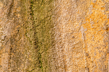 Abstract textured background