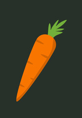Vector illustration of a carrot.