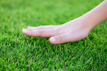 Beautiful green grass. The hand of the child touches the grass. Back to nature, love earth. Environment concept.