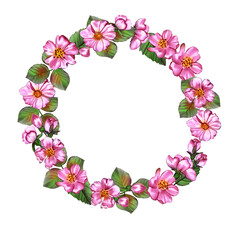 Fototapeta na wymiar Creative composition with the image of garden flowers. A wreath of fruit tree flowers on a white background. Illustration for printing on fabric or paper. Theme of summer, romance, love.
