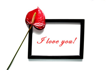 I love you. Creative layout made of Anthurium/ Flamingo flowers black frame. isolated on white background. Marriage proposal with engagement ring.