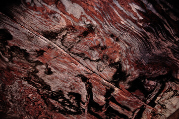 Jordanien Petra Jordan