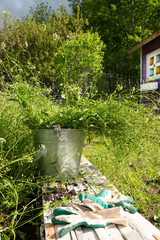 Naklejka premium A metal bucket of weed grass in a summer cottage .