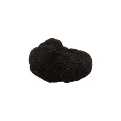 Trufa de verano - Tuber Aestivum - otra plana