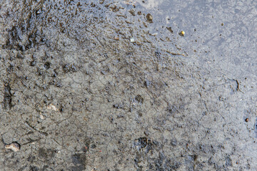 background and texture of the wet concrete walkway after a rain