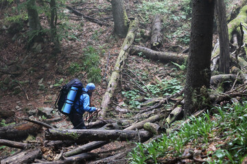 Active healthy man hiking in beautiful forest