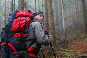 Active healthy man hiking in beautiful forest