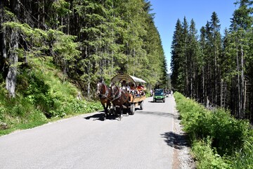 Zaprzęgi konne na drodze do Morskiego Oka w Tatrach, 