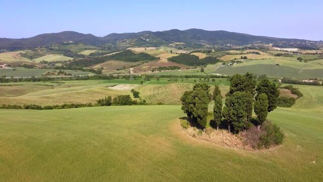Cypresses in a circle in the Tuscan countryside Orciano Pisano Italy