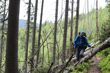 Obraz premium Active healthy man hiking in beautiful forest