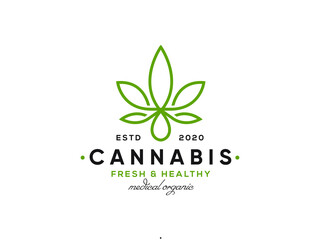 creative modern cannabis CBD marijuana hemp leaf logo design	
