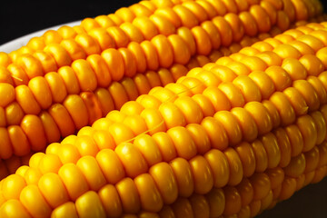 boiled corn on a white plate, close-up, selective focus
