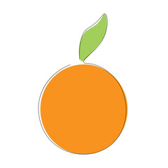 Orange citrus fruit vector illustration