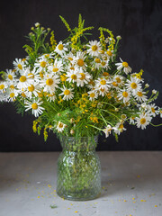 Lush bouquet of field daisies in a glass vase on a gray background