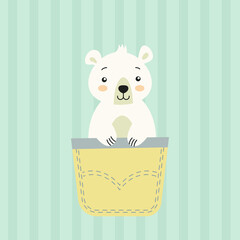 Bear in pocket. Vector illustration.