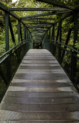 Obraz premium Metal walkway in a forest