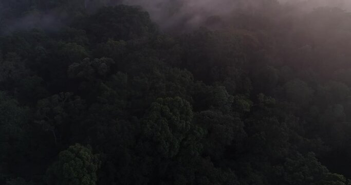 Bali, Indonsia, Travel, holiday, 4k, Drone, Aerial
