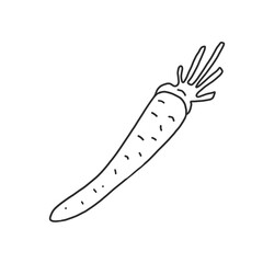 Hand drawn vector illustration in black ink on white background. A cute carrot in doodle style. Isolated outline.