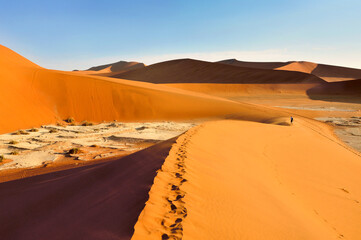 Fototapeta na wymiar Orange color sand Dune in Namib Desert, Namibia, Africa landscape