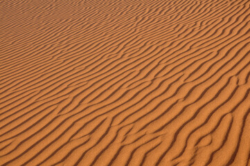 Beautiful wavy sand texture background in Namib desert, Sossusvlei, Africa
