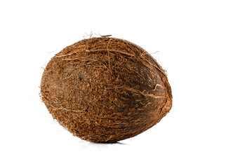 Coconut closeup isolated on white