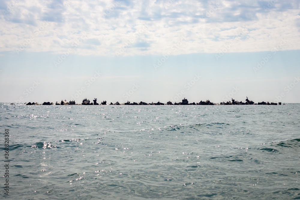 Poster Beautiful shot of protective ridge of stones with sea birds stretches along the beach