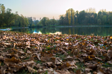 Wonderful view of the autumn lake in the park.