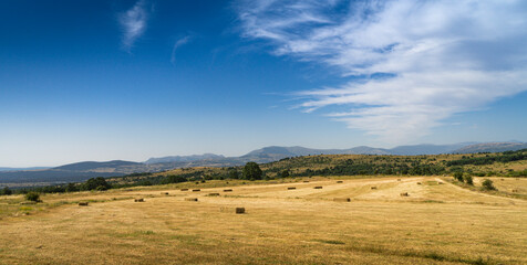 Panoramic landscape of cereal field packed in the mountain area of ​​Madrid.