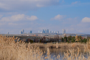 High rise residential areas with rural view,pond in the foreground reeds