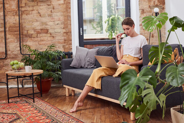 Obraz premium Concentrated lady searching on the internet at home