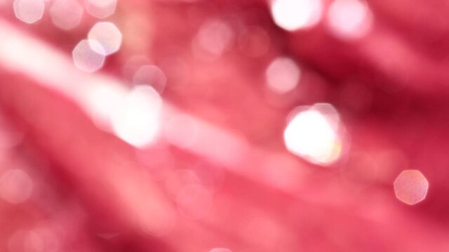 abstract christmas background  white red color heptagon snape bokeh / bright water drop on red leaf