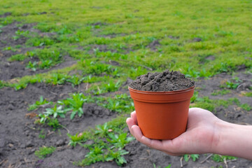 Earth pot in the farmers hand. Working in the garden at the cottage.