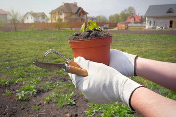 Work in the garden. Farmers hands and garden tools in close-up.