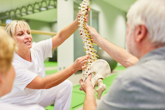 Senior and physiotherapist with spine model