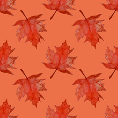 Fototapeta na wymiar Watercolor autumn maple leaf. Vector seamless pattern.