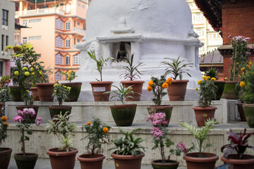 Fototapeta na wymiar Different flowers infornt of a religious monument, Kathmandu, Nepal