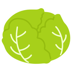 Flat colored green fresh cabbage